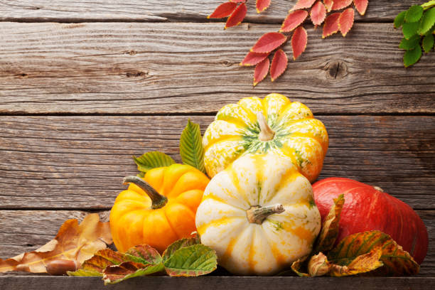 istock Autumn with pumpkins and colorful leaves 1058721802