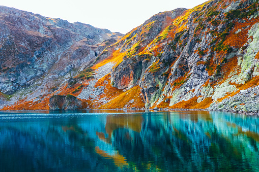 Autumn yellow alpine landscape, clean water in the alpine lake. Rocky mountain peak, fall season, scenic view.