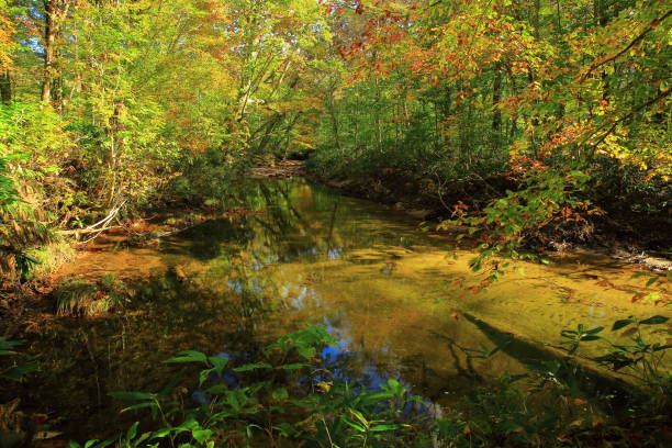 istock Autumn leaves valley 1058721912