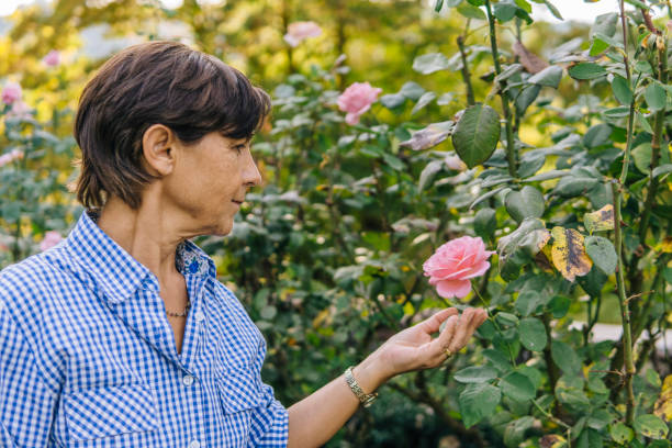 istock Active senior woman gardening 1058722156