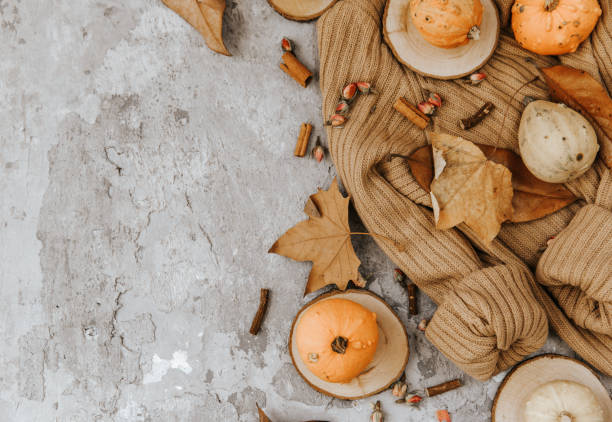 istock Flat lay composition fall season, Wool sweater with pumpkins dry leaves,  cozy autumn  image 1058724806