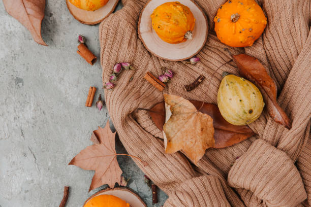 istock Flat lay composition fall season, Wool sweater with pumpkins dry leaves,  cozy autumn  image 1058724808