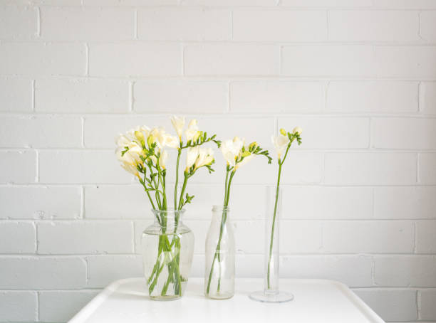 istock Three glass vases with white freesias on table 1058725542