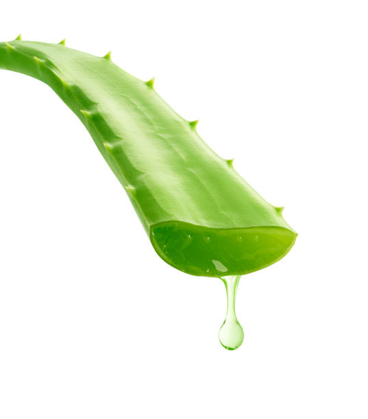 istock Aloe Vera gel dripping over white background 1058725742