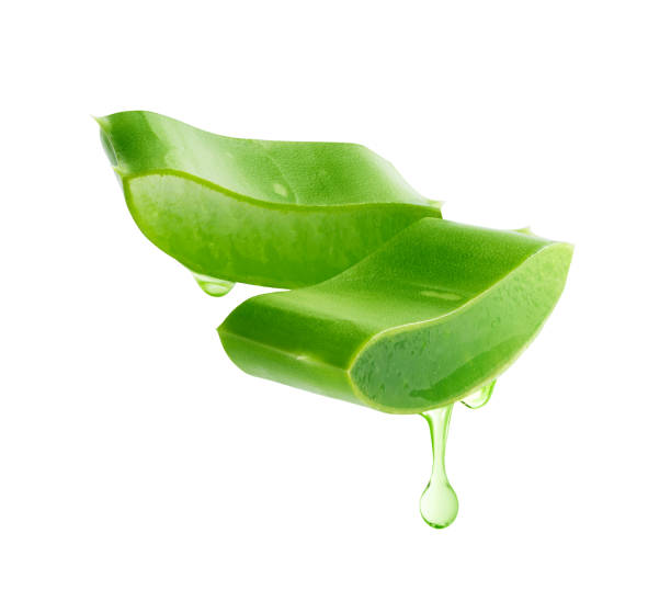 Aloe vera gel dripping from aloe vera slice Aloe vera gel dripping from aloe vera slice isolated on white background aloe juice stock pictures, royalty-free photos & images