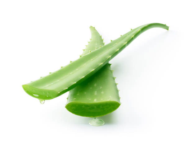 istock Aloe vera dripping - clipping path included 1058725778
