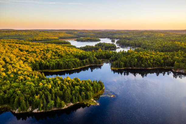 istock Lake and Forest nearing autumn with white misty sky 1058731104