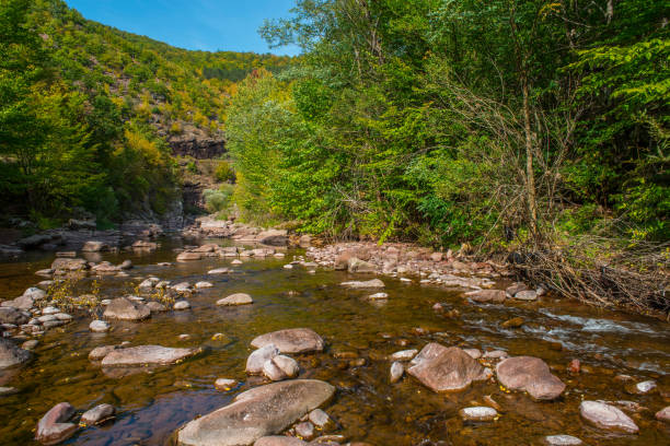 istock Canyon of River Temska, Eastern Serbia 1058731220