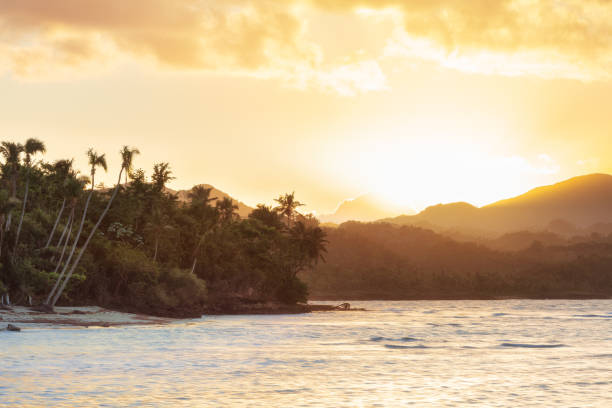 Sunset beach in Dominican Republic with white sand and tall palms on sunset. Javo beach, Las Galeras