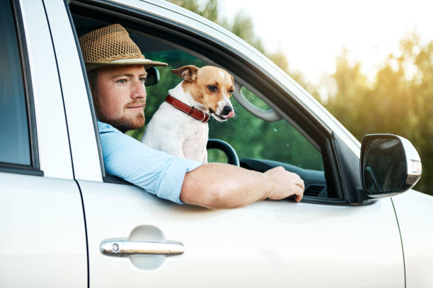 istock Just two pals out on a drive 1058736380