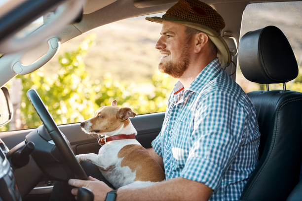 istock Just you and me buddy on the open road 1058736530