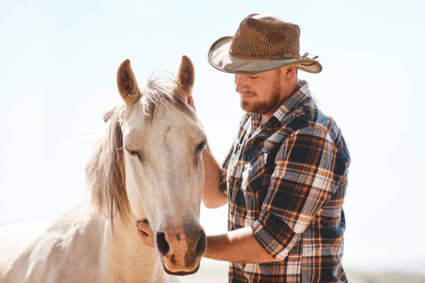 istock Keeping his horse happy 1058737654