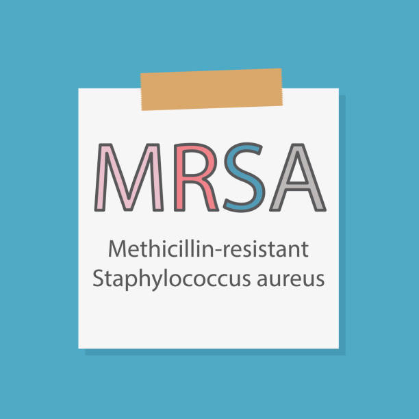 ilustrações, clipart, desenhos animados e ícones de mrsa methicillin-resistant staphylococcus aureus, escrito em uma folha de caderno - staphylococcus aureus resistente à meticilina