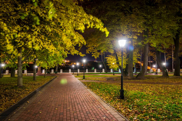 istock Night park in autumn with fallen yellow leaves. 1058743476