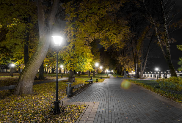 istock Night park in autumn with fallen yellow leaves. 1058743480