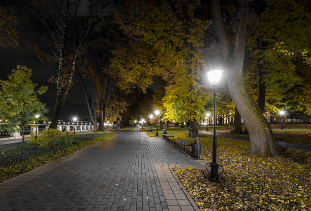 istock Night park in autumn with fallen yellow leaves. 1058743482
