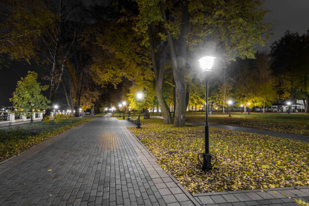 istock Night park in autumn with fallen yellow leaves. 1058743494