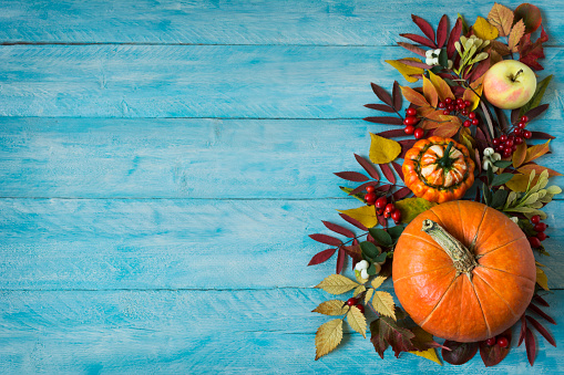 Thanksgiving or fall greeting background with border of apples, red berries, leaves and pumpkins on the rustic blue wooden table, copy space