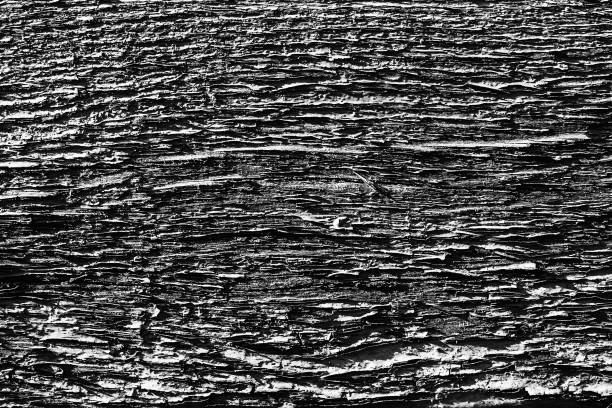 istock Monochrome texture of a board. Abstract background. 1058744180
