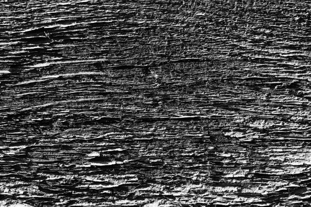 istock Monochrome texture of a board. Abstract background. 1058744186