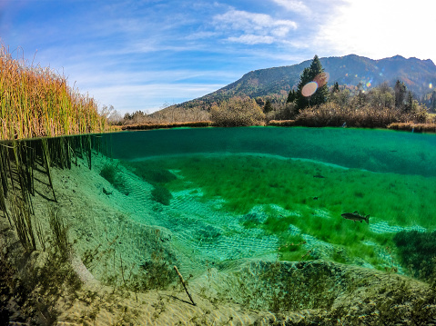 View from the cliff to the green muddy water with small fish. Water pollution protection concept