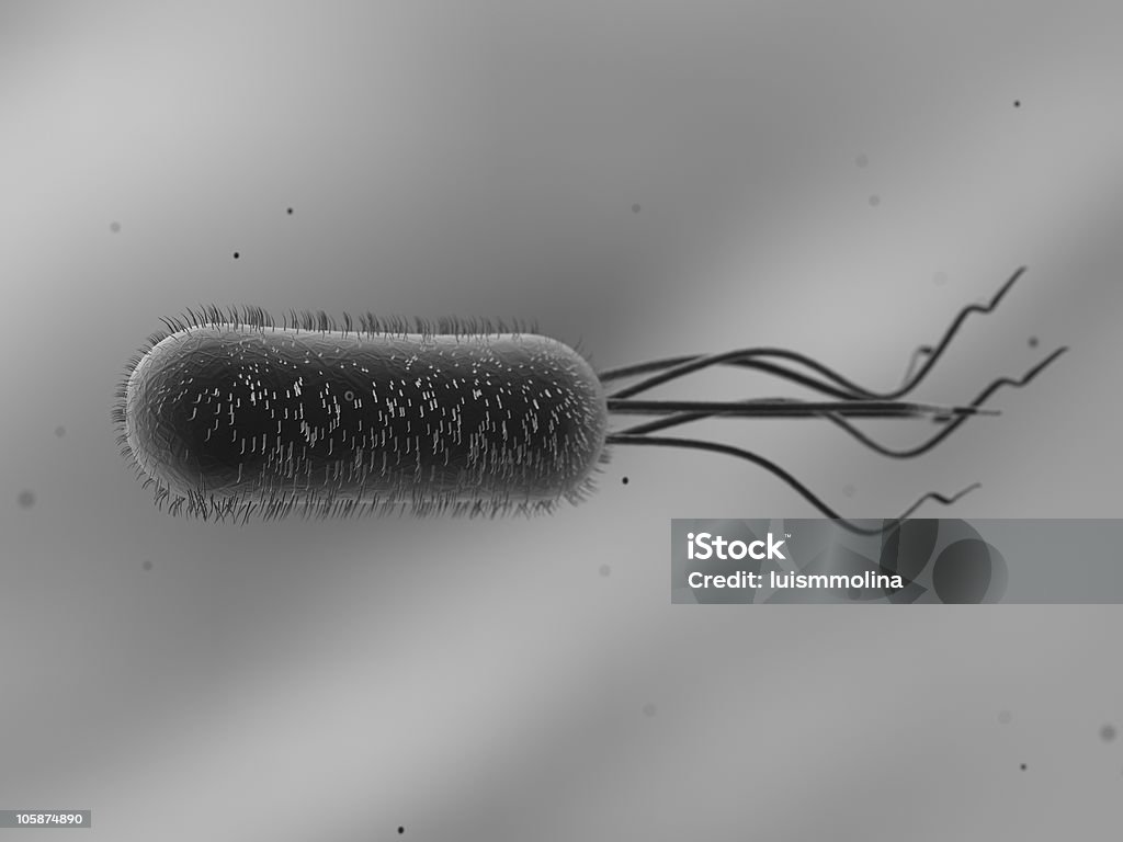 대장균 (E.  Coli.) - 로열티 프리 0명 스톡 사진