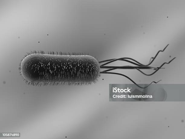 대장균 0명에 대한 스톡 사진 및 기타 이미지 - 0명, 건강관리와 의술, 과학
