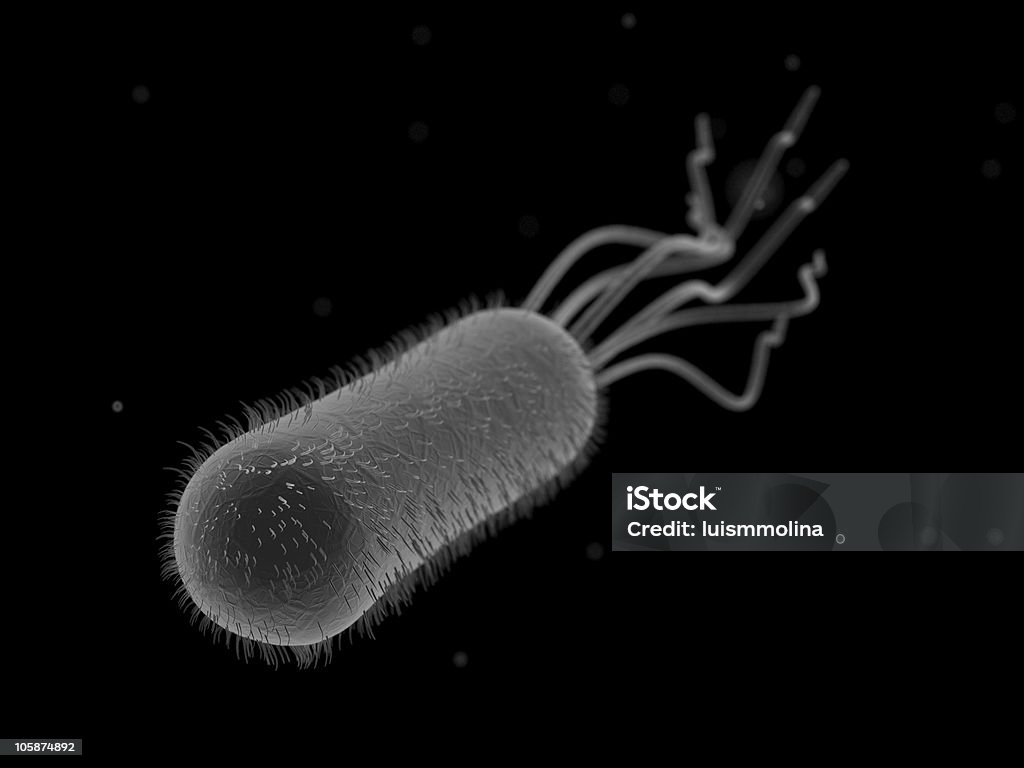 Electronic image of the bacterium E. coli Escherichia Coli (E. Coli.) E. coli Stock Photo