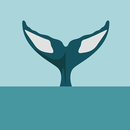Whale tail diving in ocean or sea body part of killer or humpback whale in flat vector illustration style