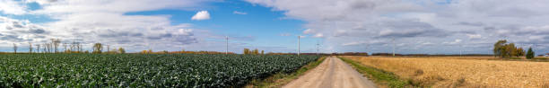istock Panoramic view of wind turbines 1058749598