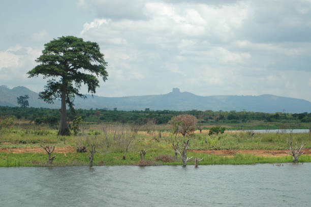 Ghanian Landscape from Lake Volta stock photo