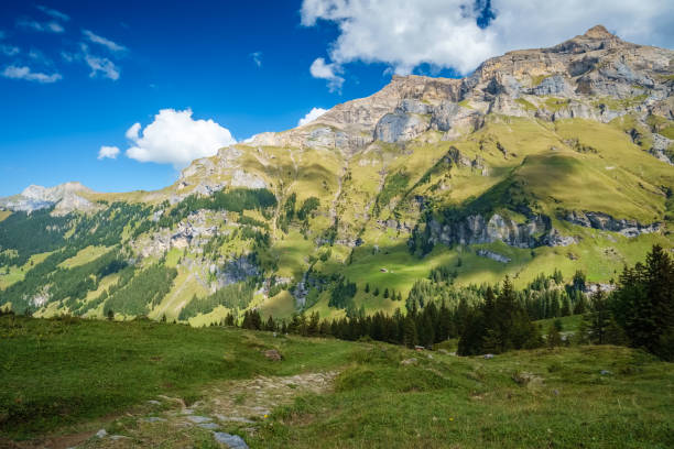 istock Spectacular views in the valley called Kiental (Berner Oberland, Switzerland) 1058758640