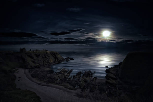 Coastal landscape