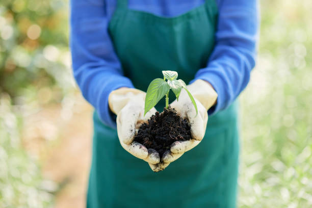 istock The concept of new life 1058766756