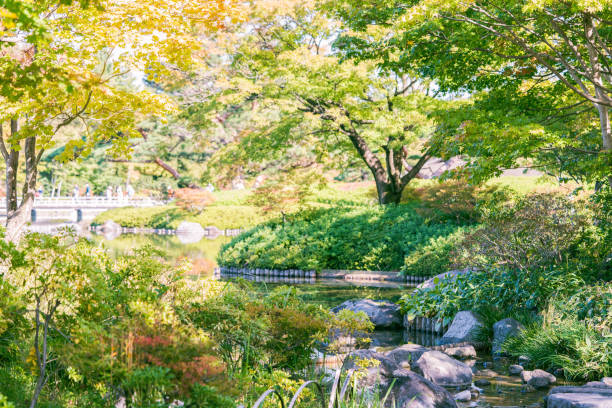 istock scene of the park 1058767466