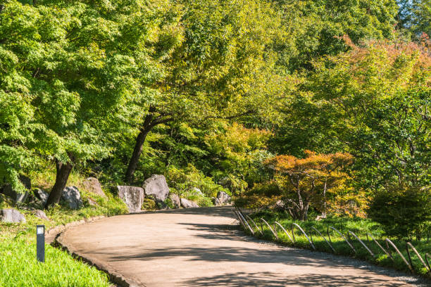 istock scene of the park 1058767542