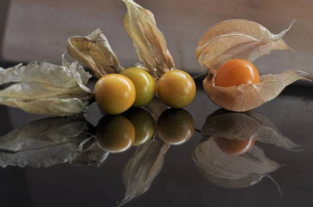 Cape gooseberry fruit. Cape gooseberry fruit. gooseberry cape winter cherry berry fruit stock pictures, royalty-free photos & images