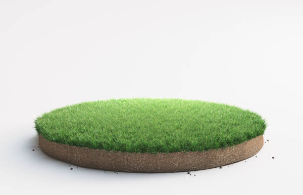 草と土地の部分 - 芝草 ストックフォトと画像