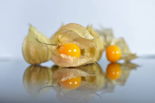 Cape gooseberry fruit. Cape gooseberry fruit. gooseberry cape winter cherry berry fruit stock pictures, royalty-free photos & images