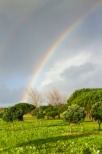 Rainbow over Bao park trees in Arousa Island
