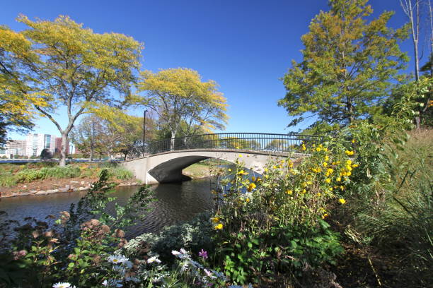 istock Sunflowers and Autumn Foliage in Boston 1058770856