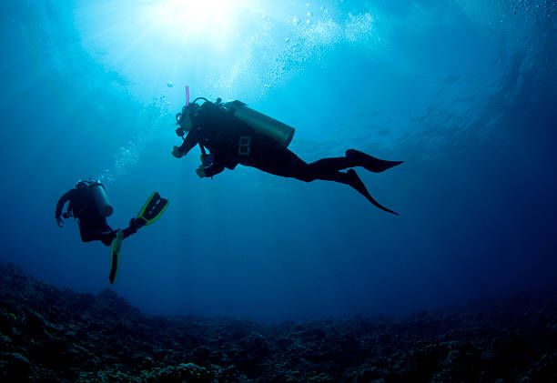 istock Scuba Diver silhouetted against the sun 105877256