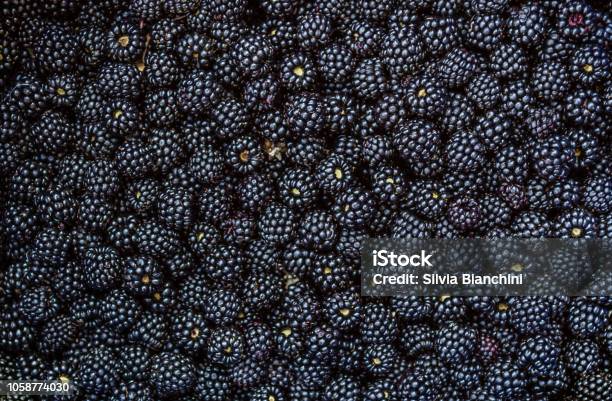 Blackberry Fruit Background Stock Photo - Download Image Now - Blackberry - Fruit, Fruit, Backgrounds