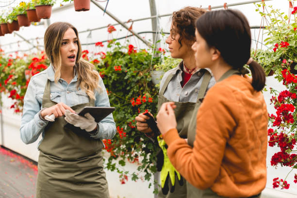 istock Expert Advice on Greenhouse Growing 1058779324