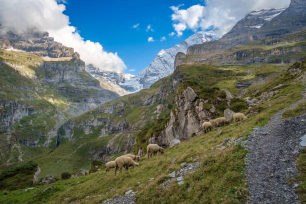 istock Spectacular views in the valley called Kiental (Berner Oberland, Switzerland) 1058780064
