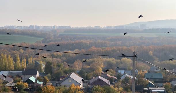 istock Autumn in a small town 1058786038