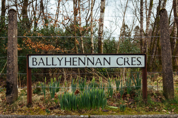 istock Ballyhennan crescent road sign 1058789066