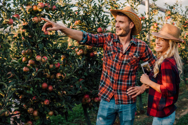 istock Couple looking in distance 1058793566