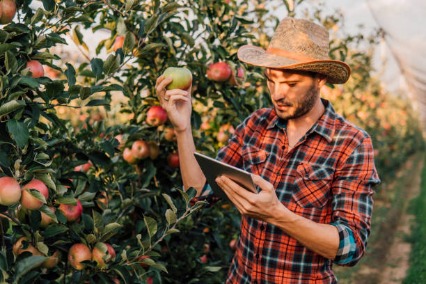 istock Serious man at apple orchard with digital tablet 1058794038