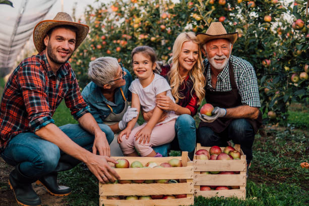 istock Family picking apples 1058794086
